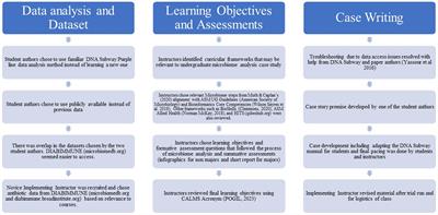 Learning from feces: a case study teaching microbiome analysis
